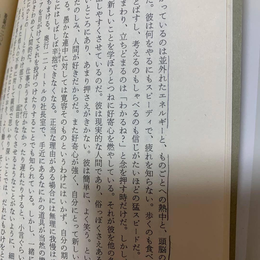 プロフェッショナル・マネジャー: わが実績の経営