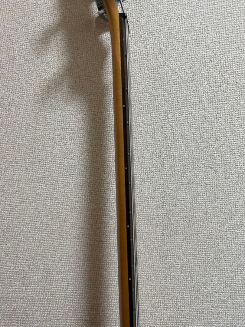 bacchus ベース ジャンク, ベース