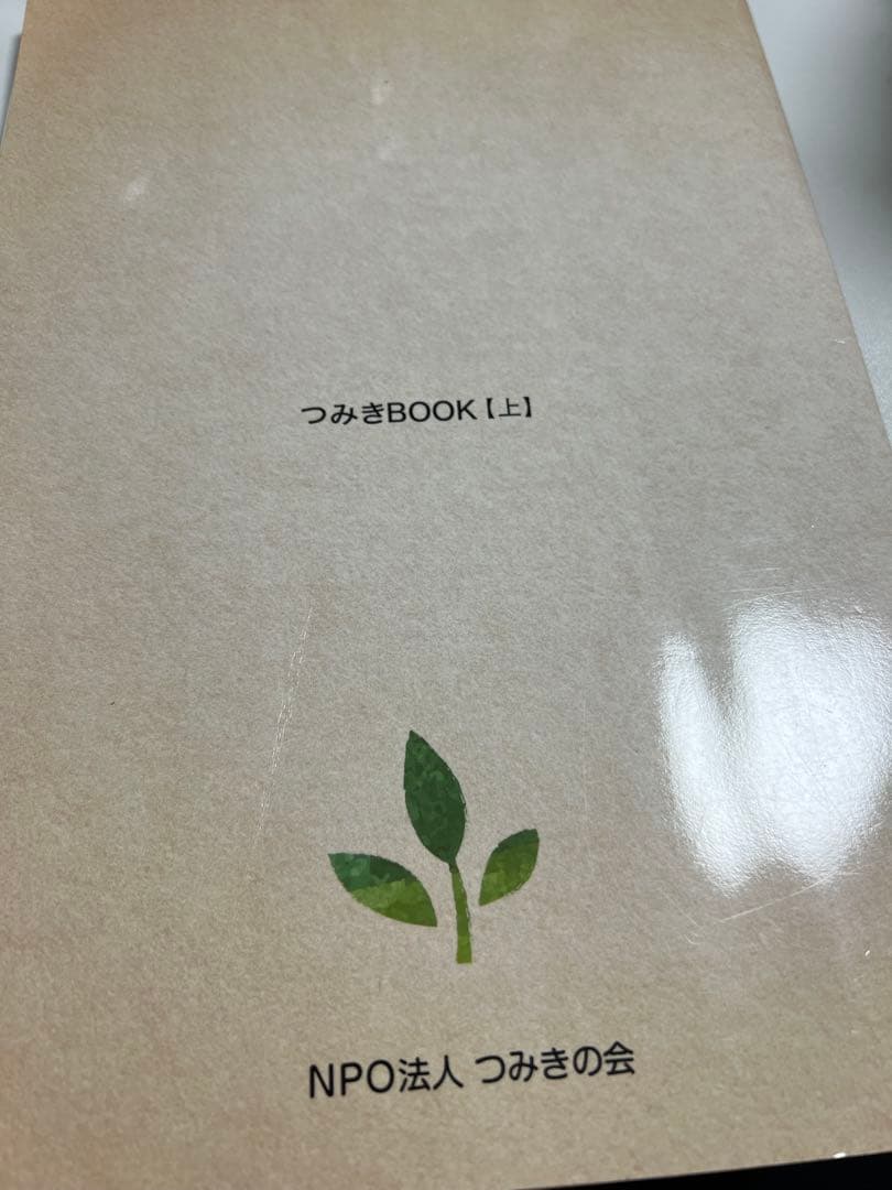 自閉症児の為のABA 早期集中療育マニュアル つみきBook上