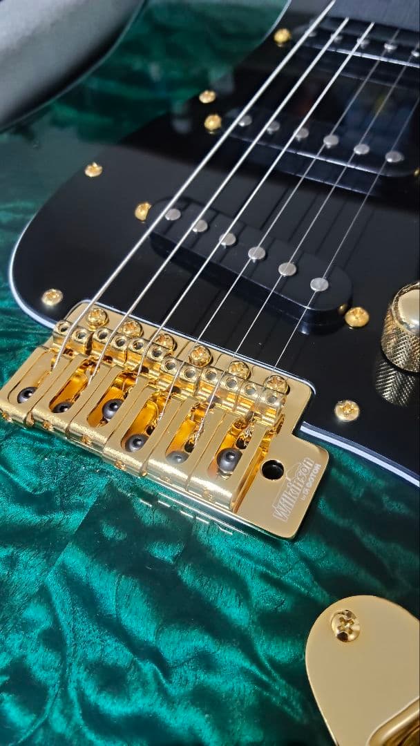 Valley Arts Custom Pro 朝日木工期/ Warmothネック