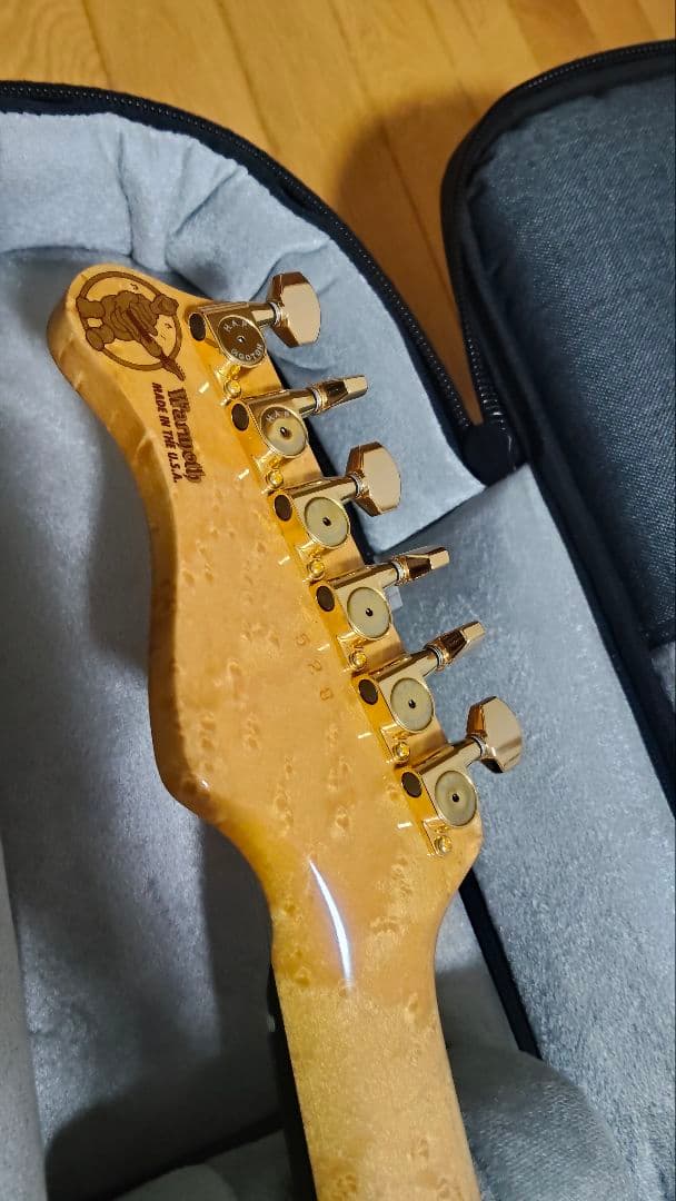 Valley Arts Custom Pro 朝日木工期/ Warmothネック