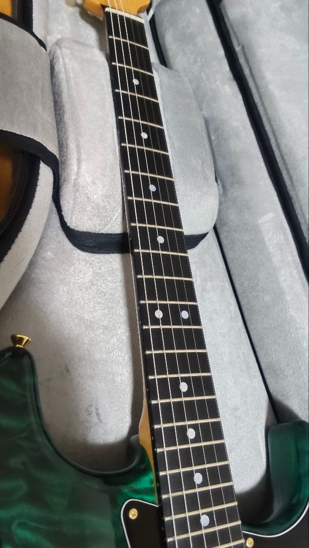 Valley Arts Custom Pro 朝日木工期/ Warmothネック
