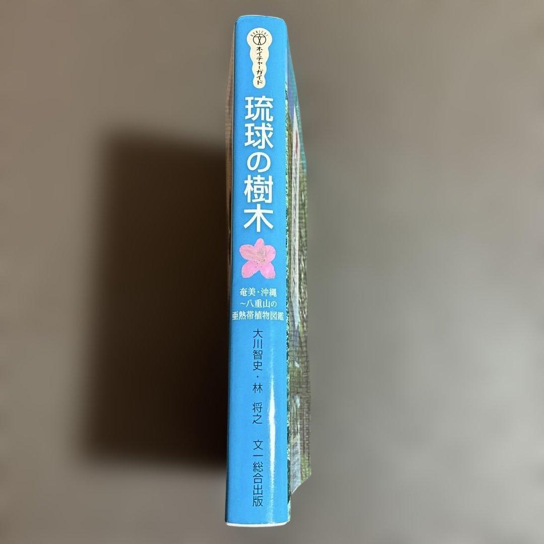 琉球の樹木　大川智史　林将之　文一総合出版