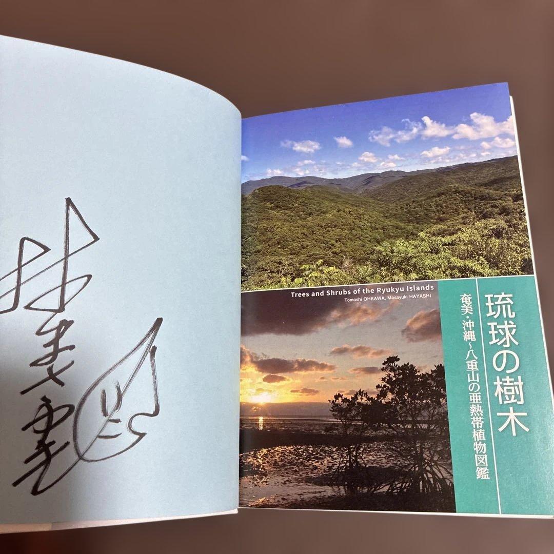 琉球の樹木　大川智史　林将之　文一総合出版