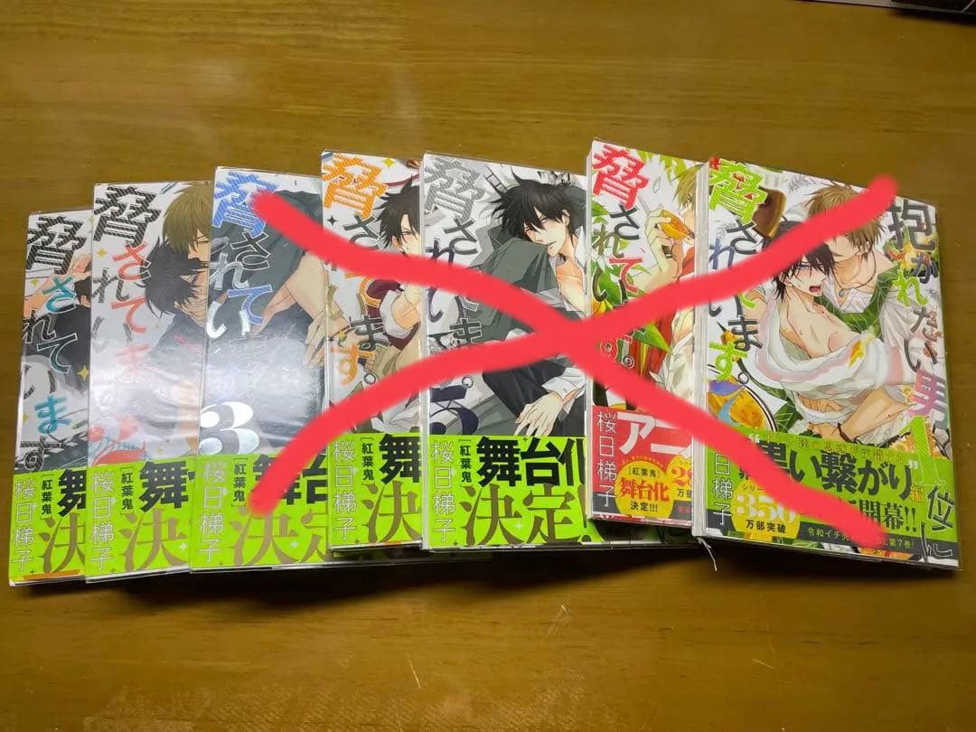 BLまとめ売り25冊＋初版限定小冊子❗️(だかいち、ヤリ部等)