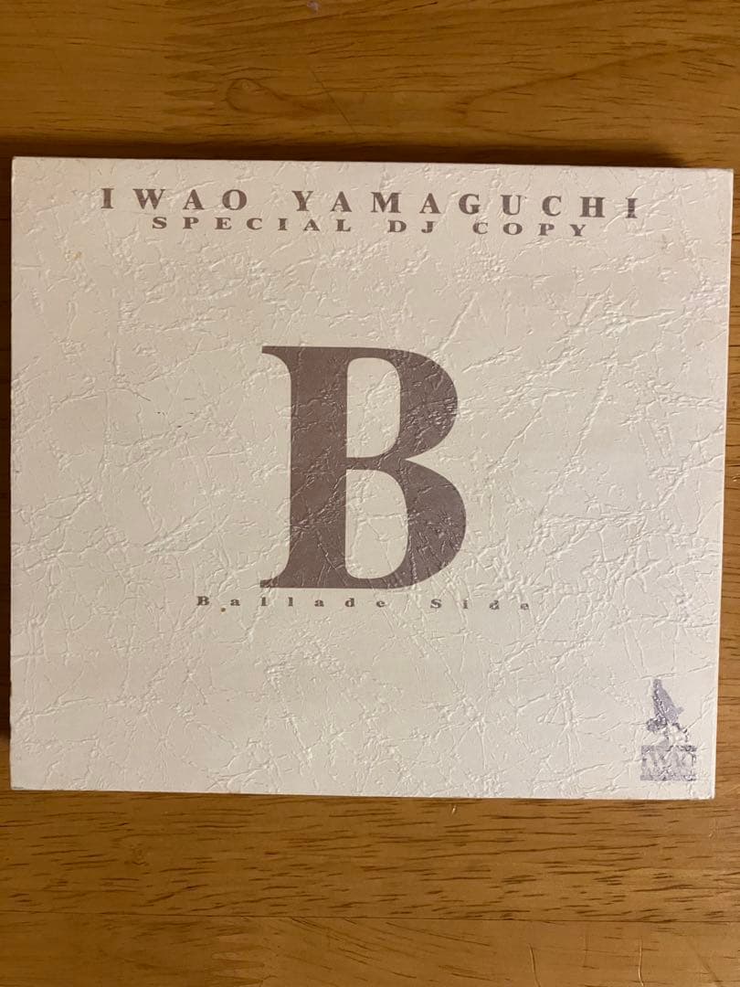 山口岩男 SPECIAL DJ COPY プロモーションCD2枚組 レアCD