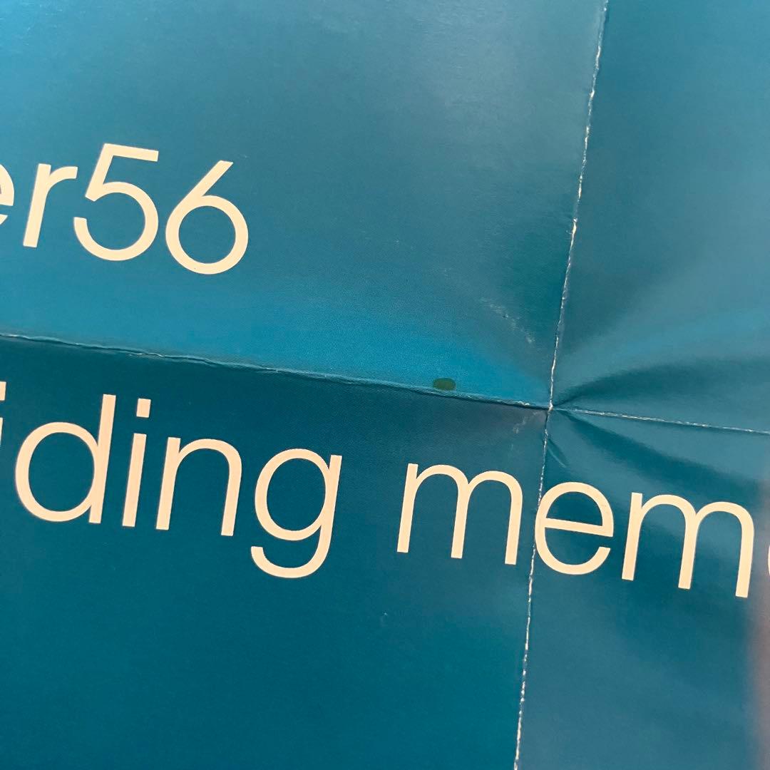 希少 pitcher56 CD her abiding memory ネオ渋谷系