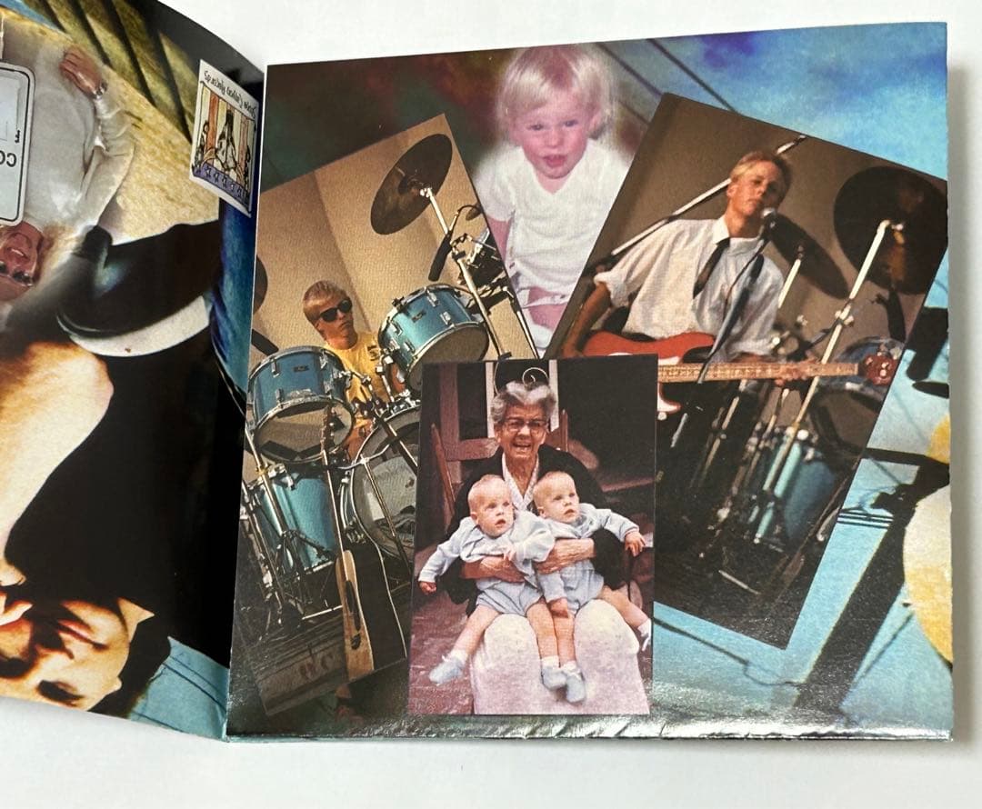洋楽 THE NELSONS / BROTHER HARMONY
