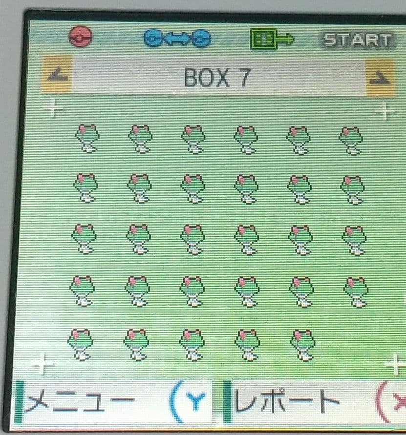 ポケットモンスター アルファサファイア 北米版 ポケモン ORAS ソフトのみ