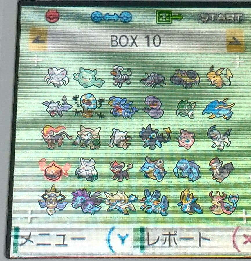 ポケットモンスター アルファサファイア 北米版 ポケモン ORAS ソフトのみ