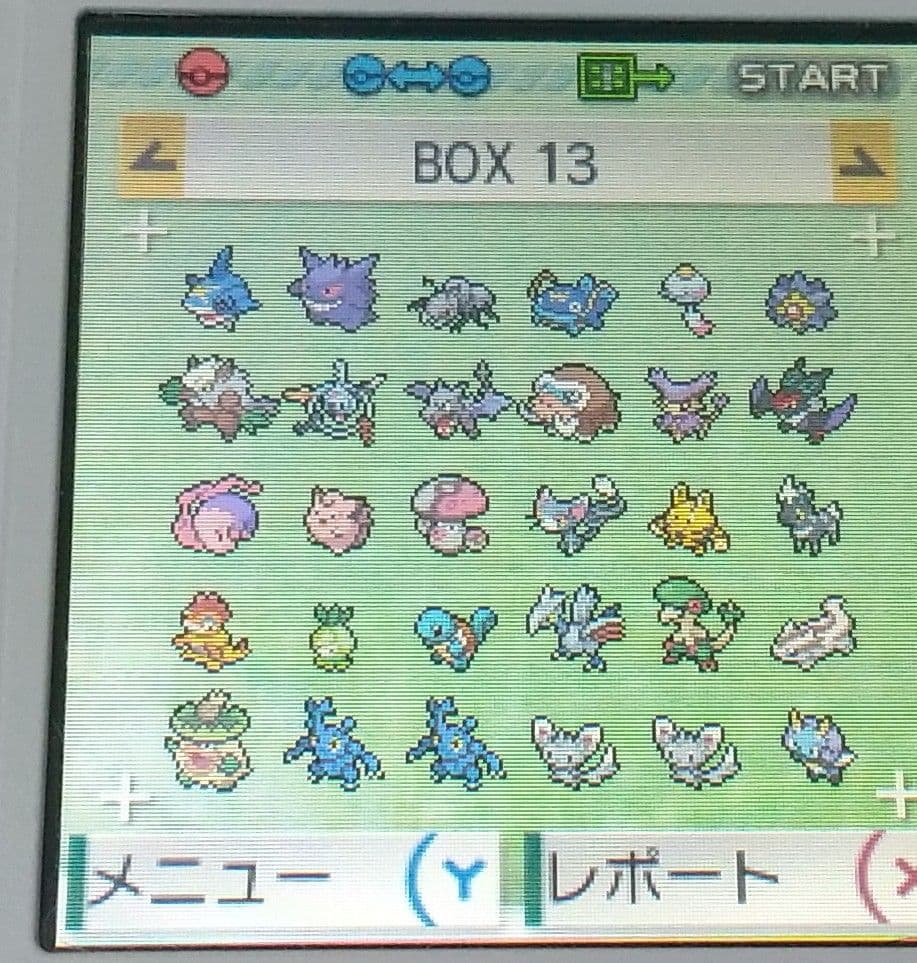 ポケットモンスター アルファサファイア 北米版 ポケモン ORAS ソフトのみ