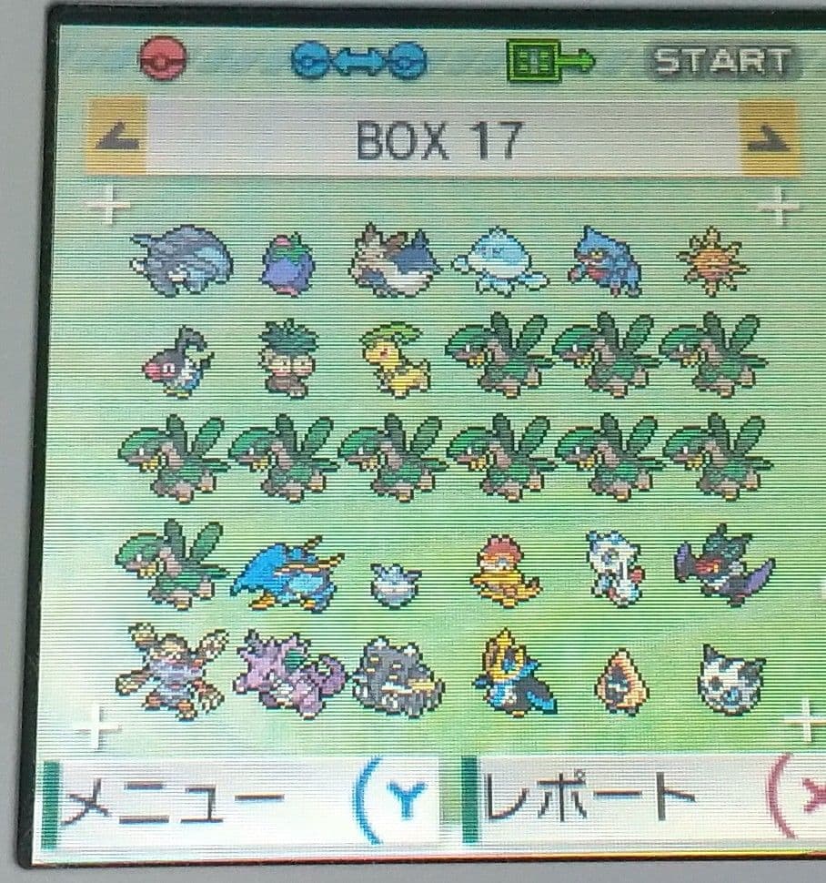 ポケットモンスター アルファサファイア 北米版 ポケモン ORAS ソフトのみ