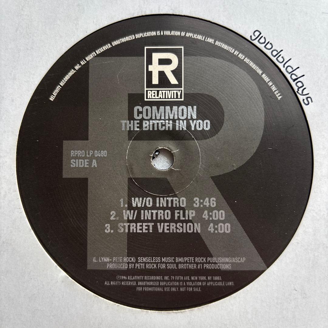 Common - The Bitch In Yoo (レアプロモオンリー) ③
