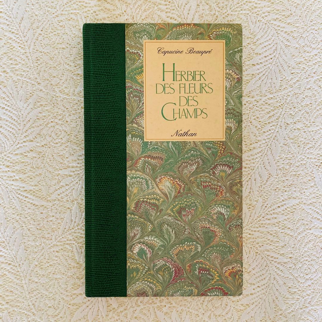 洋書　古書　フランスの植物図鑑　淡くやさしい水彩画♡　野の花　ハーブ