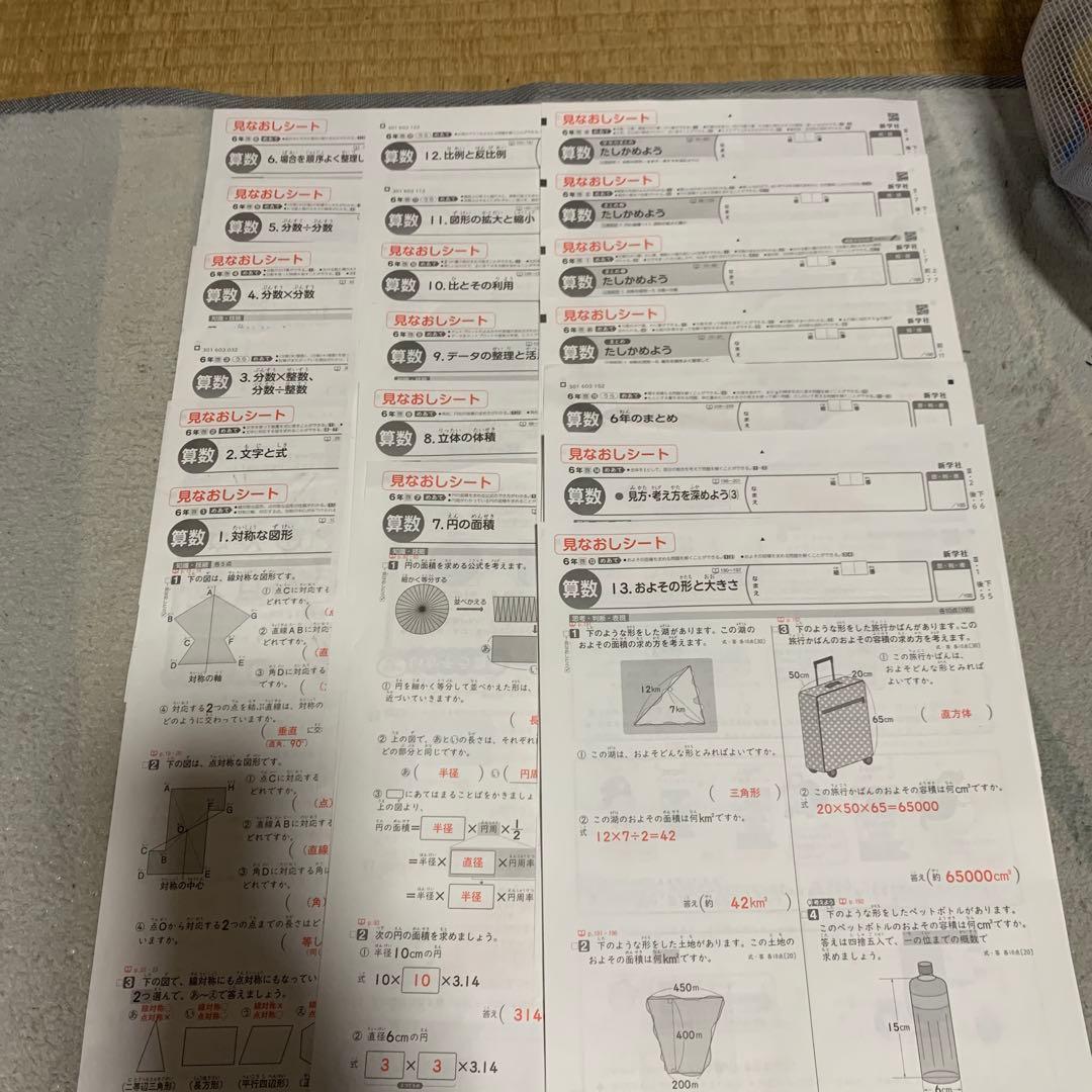 新学社 見なおしシート 6年生テスト