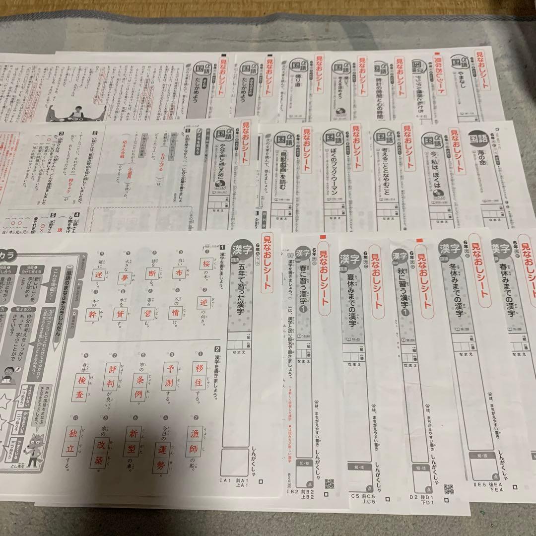 新学社 見なおしシート 6年生テスト