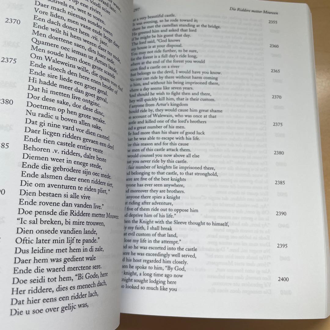 【洋書】DUTCH ROMANCES Ⅲ