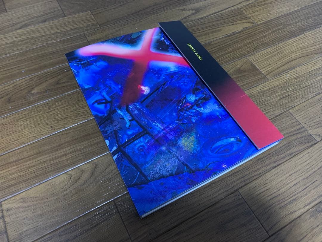 志賀理恵子 Tokyo Contemporary Art Award 作品集