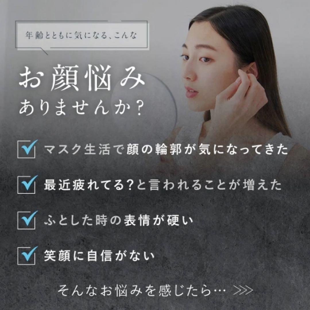 【値下中】NIPLUX EMS CARE BRUSH 美顔器NP-ECB24BK
