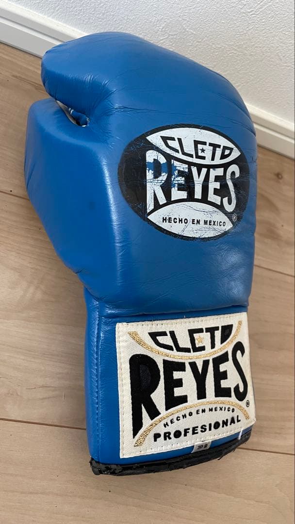 レイジェス REYES ボクシンググローブ 8oz