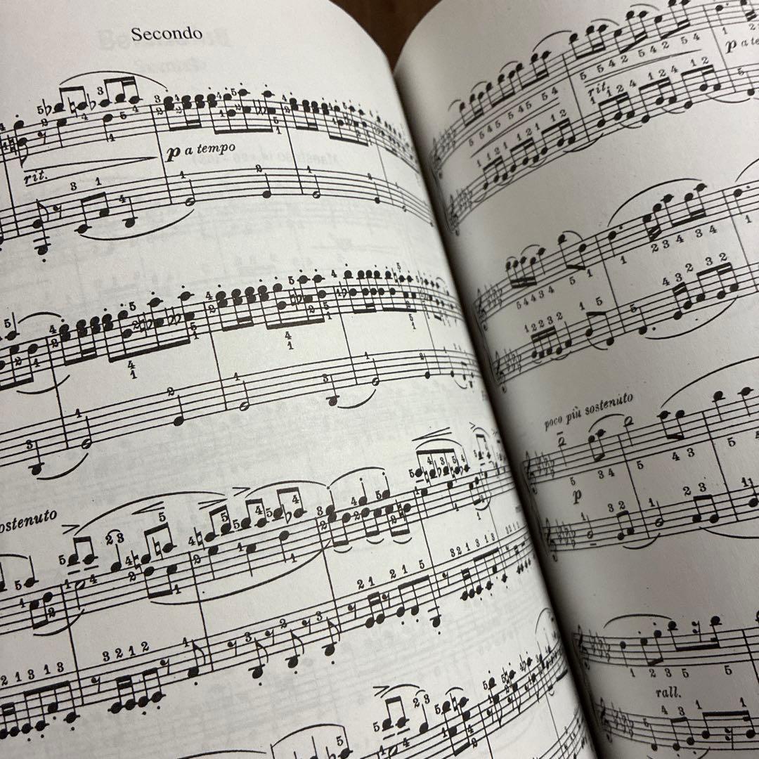 アート・デザイン・音楽 Godowsky/ Collection Vol. 5 CARL FISCHER