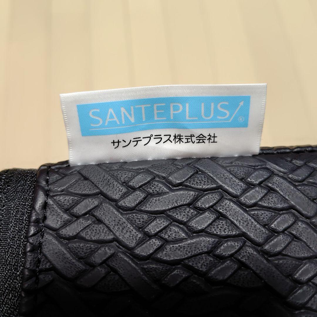 SANTEPLUS フレックスクッション