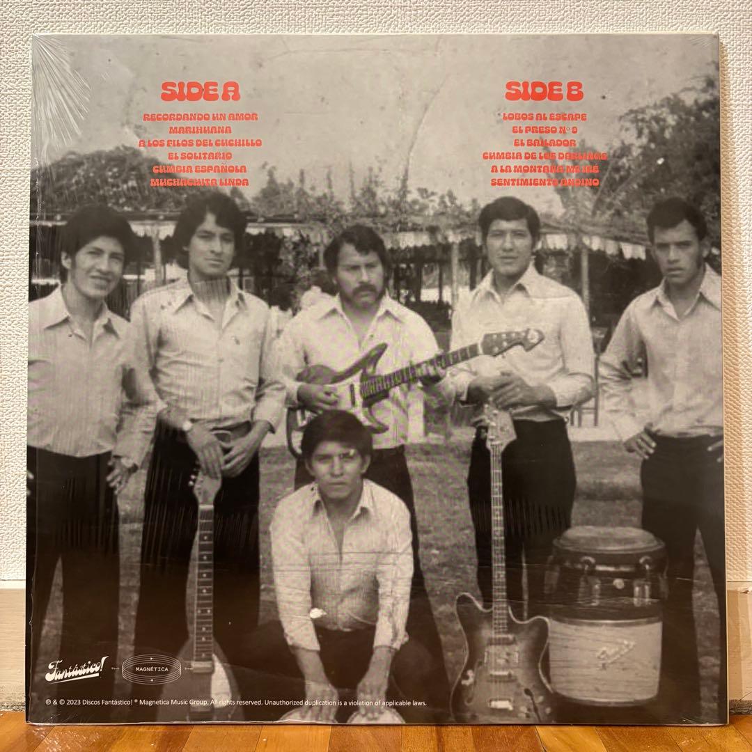 レコード Los Darlings レアグルーヴ クンビア チーチャ ファンク