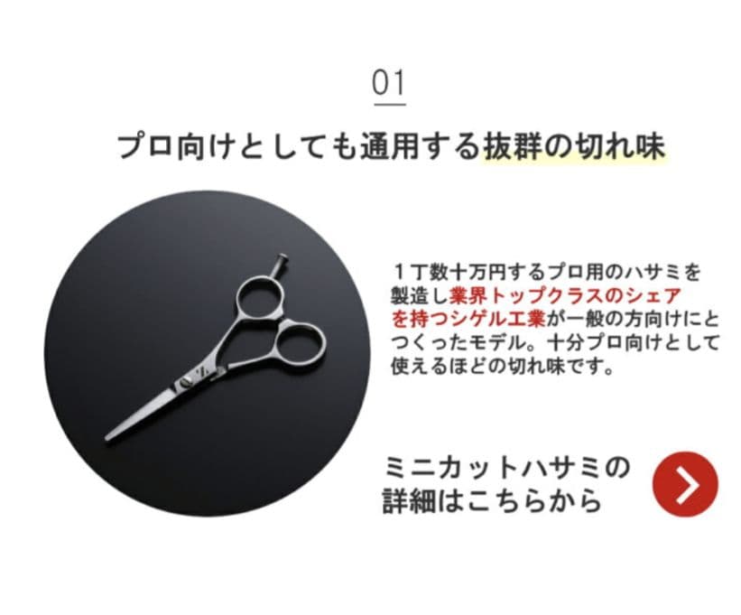 【燕三条製】ミニカットバサミ ミニスキバサミ 2本組(木箱付き)