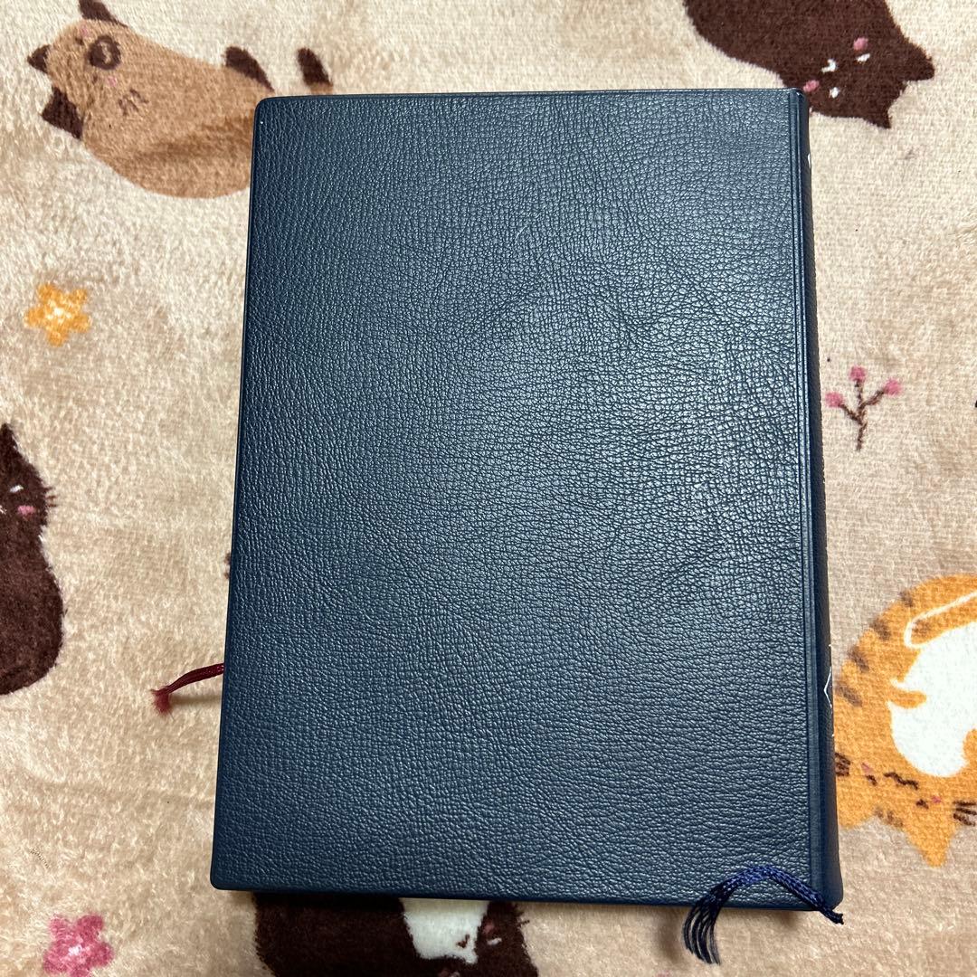 鍼灸療法技術ガイド II