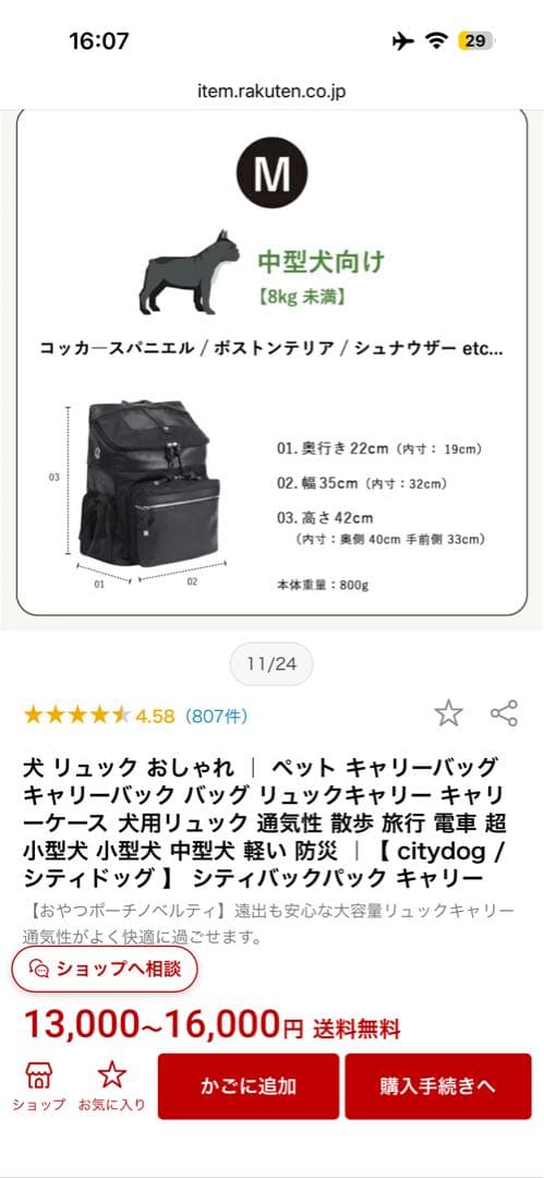 断*ト様 リュック型キャリーバッグ　シティバックパックキャリー