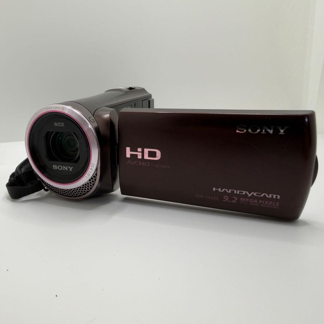 ソニー ハンディカム HDR-CX420 デジタルビデオカメラ ブラウン