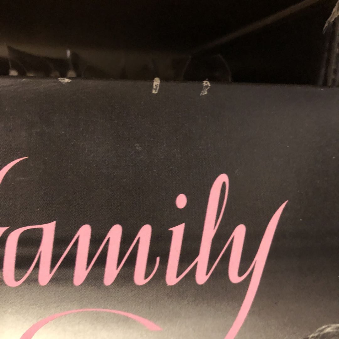 【国内盤・見本盤】THE FAMILY 帯あり美品　＋オマケ12inch2枚