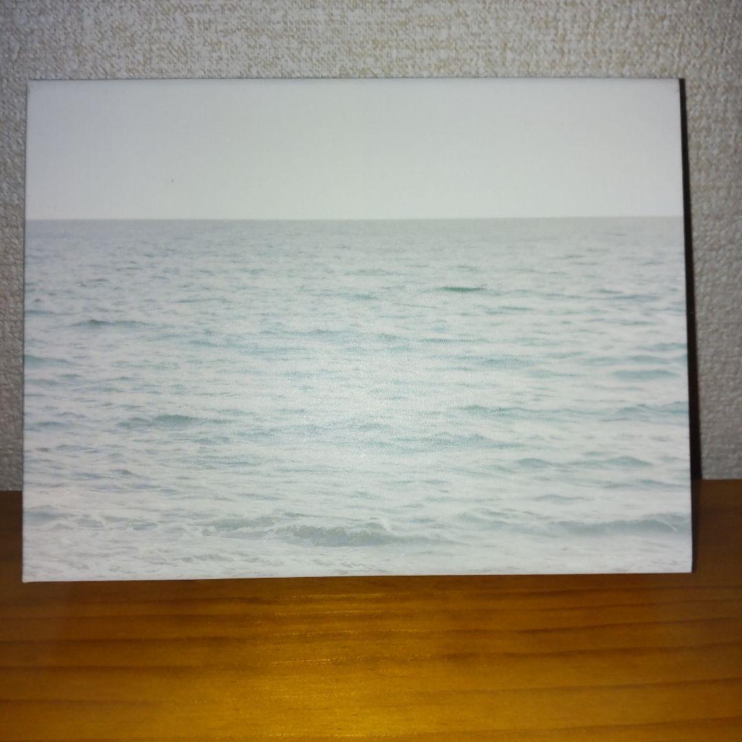 海のはじまり DVD