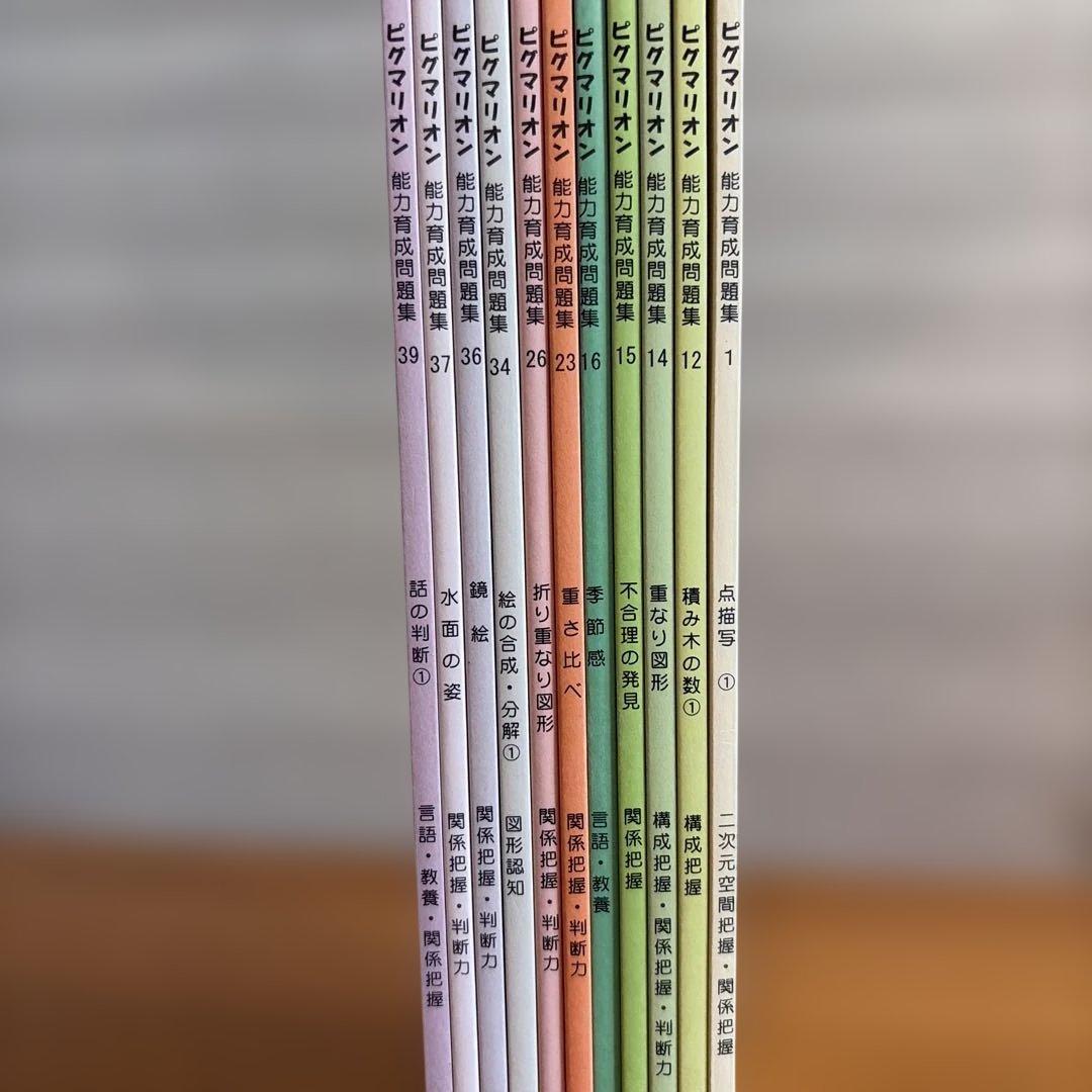 ピグマリオン能力開発問題集 11冊セット（希望あれば鉛筆記入有の4冊おまけ付き）