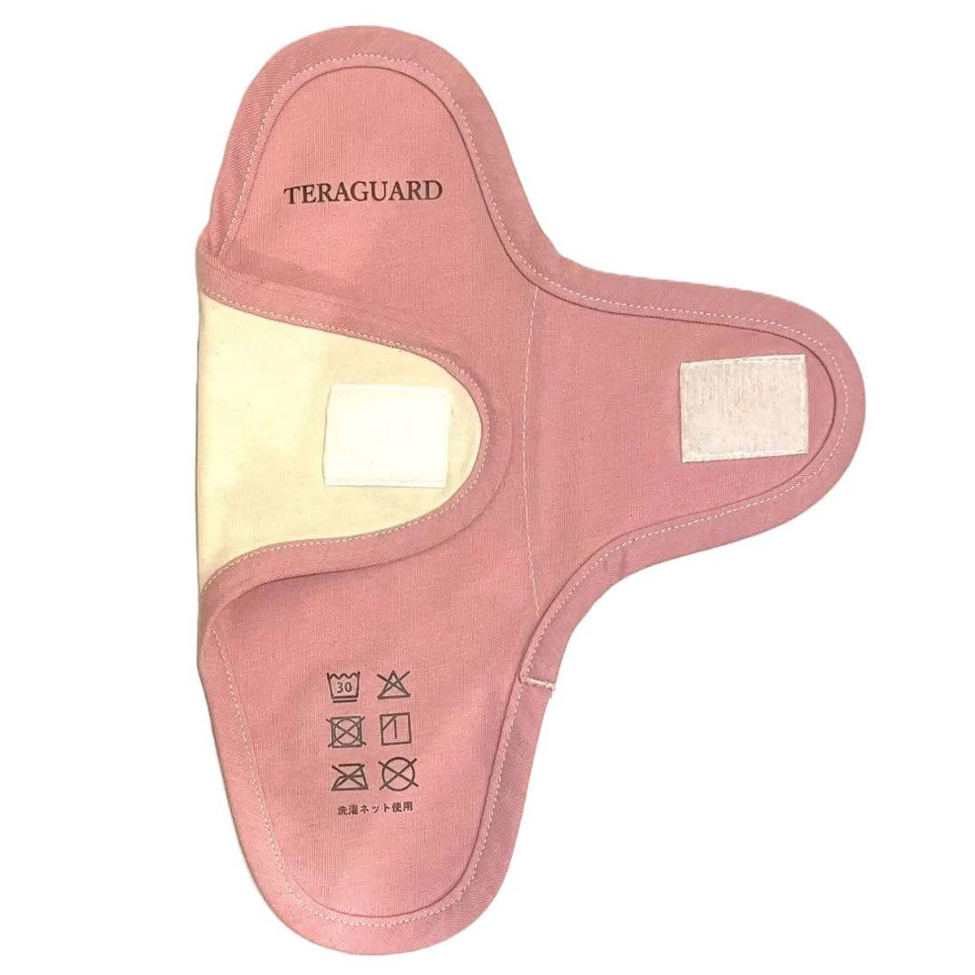 TERAGUARD テラガード