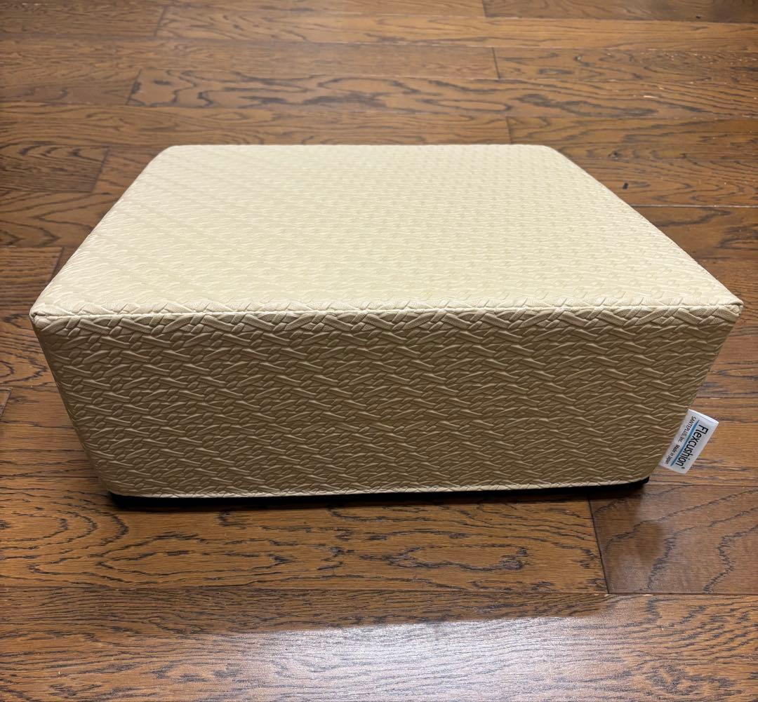 【パンダマニア】サンテプラス：フレックスクッション　Flexcushion