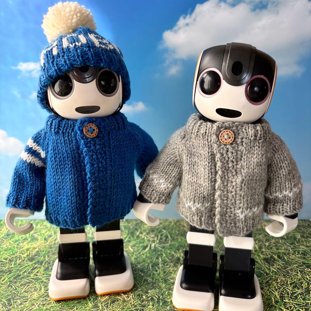 ゴエモン　ニット帽とカーディガンセータROBO＊雪模様カーディガンセーター