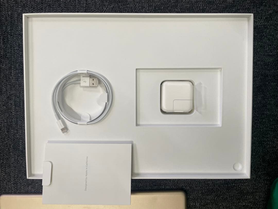 iPad Pro 12.9 第2世代 256GB Wi-Fi+Cellular