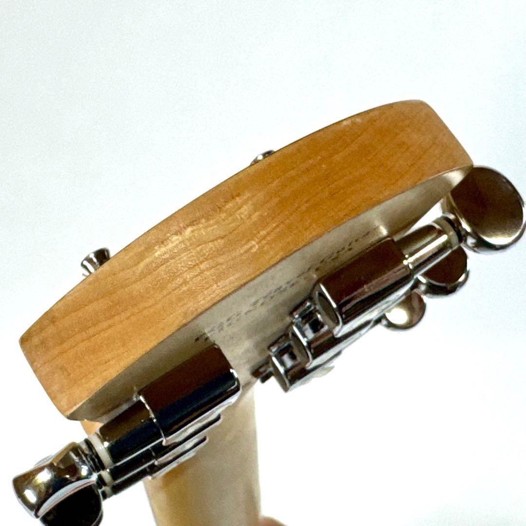 Pignose PGG-200 BS ピグノーズ スピーカー内蔵 エレキギター