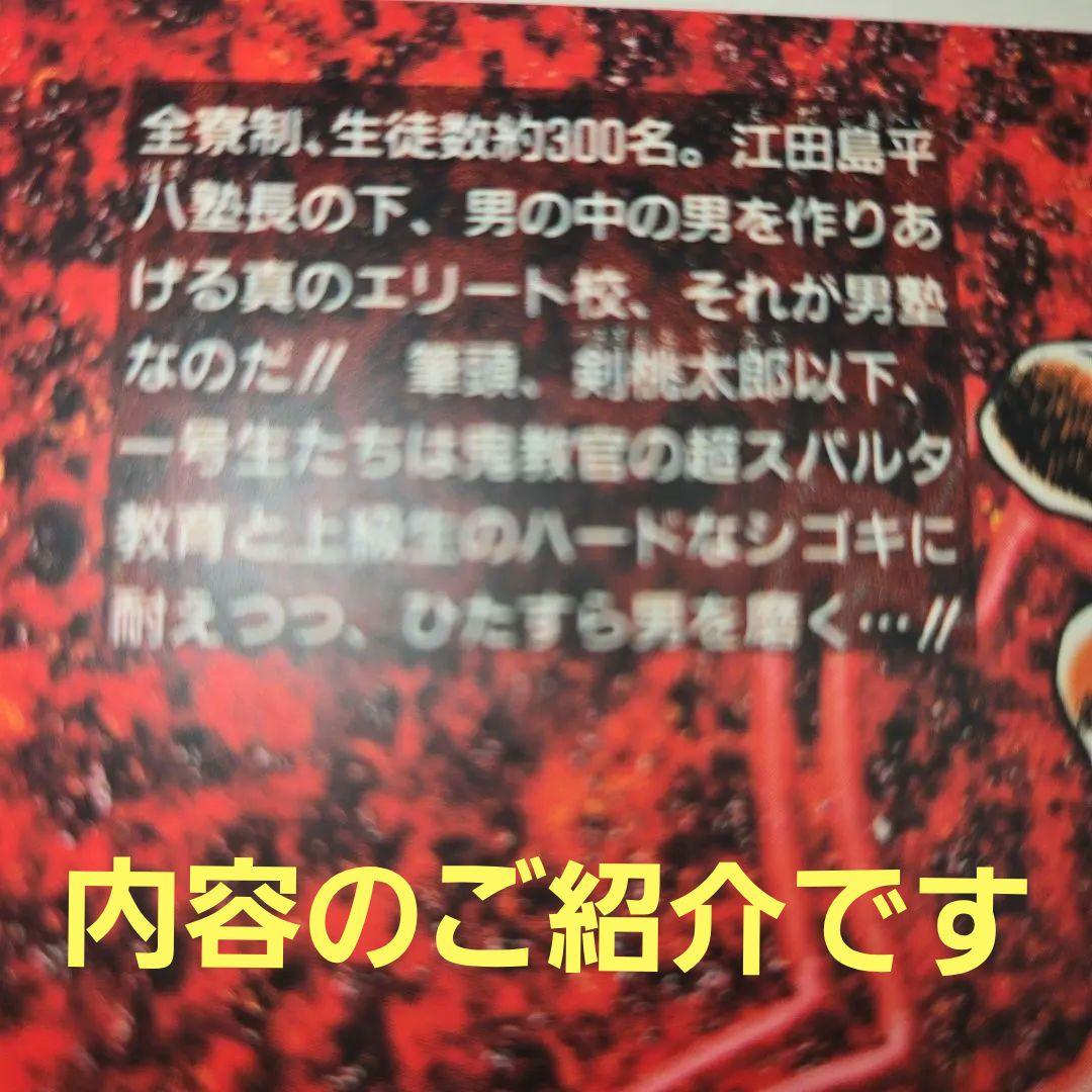 魁‼男塾　全20巻　まんが【文庫版】宮下あきら　除菌　魁男塾　魁　男塾　文庫本