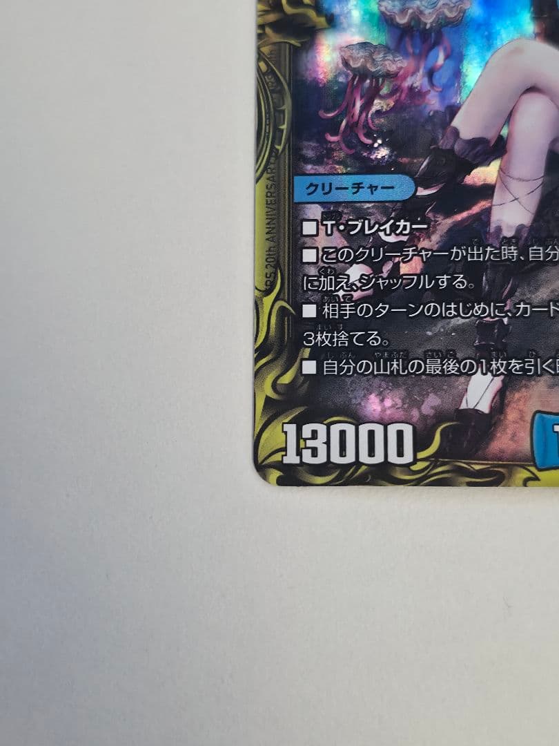 シャコガイルa