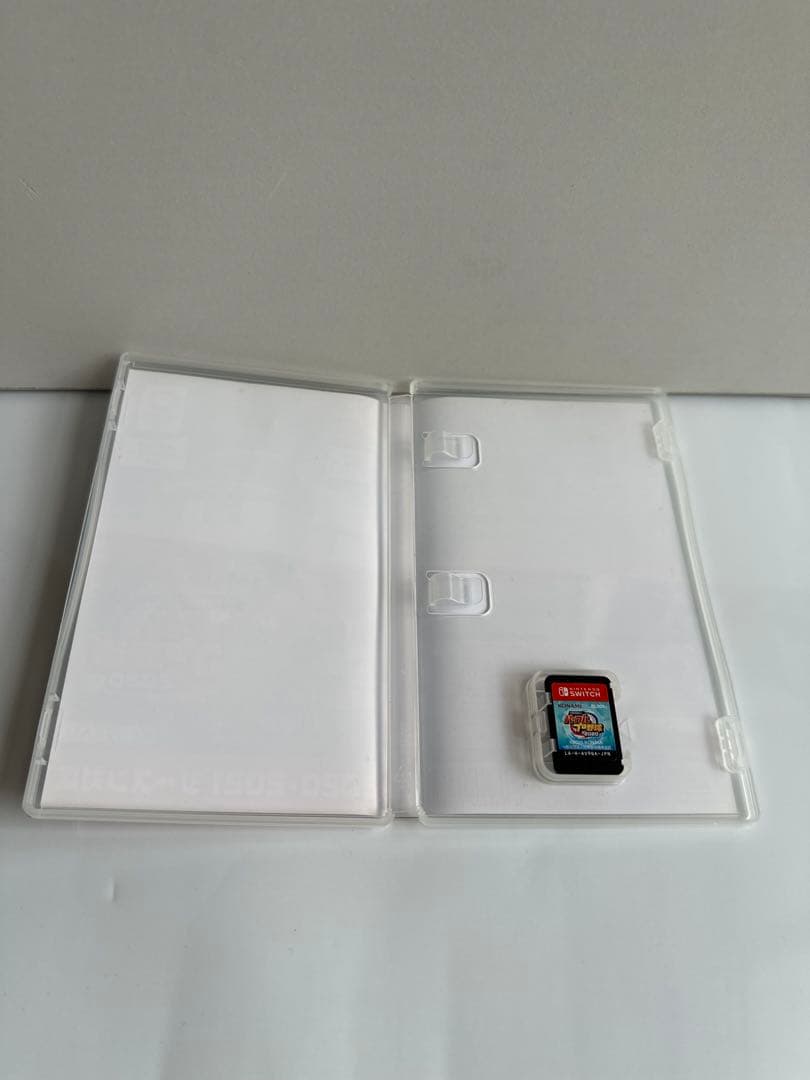 NINTENDO SWITCH ソフト