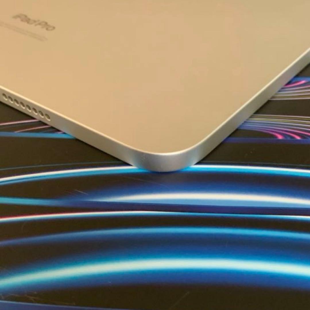 美品 iPad Pro 11インチ（第4世代）Wi-Fi 256GB シルバー