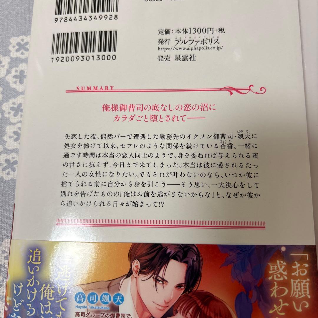 【専用】エタニティブックス、ルネッタブックス、マーマレード文庫 4月新刊