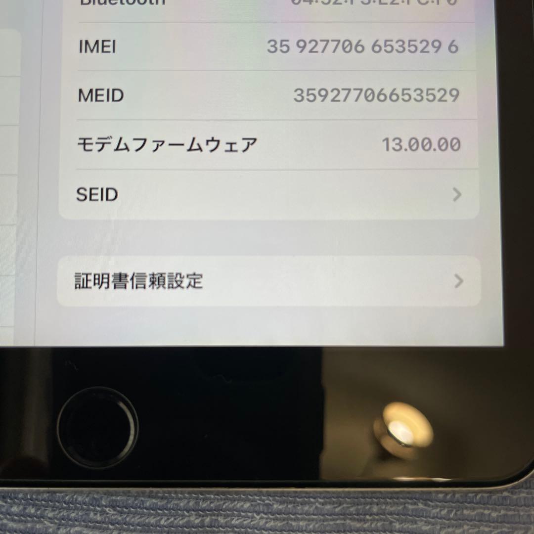 iPad mini4 128GB セルラーモデル　中古