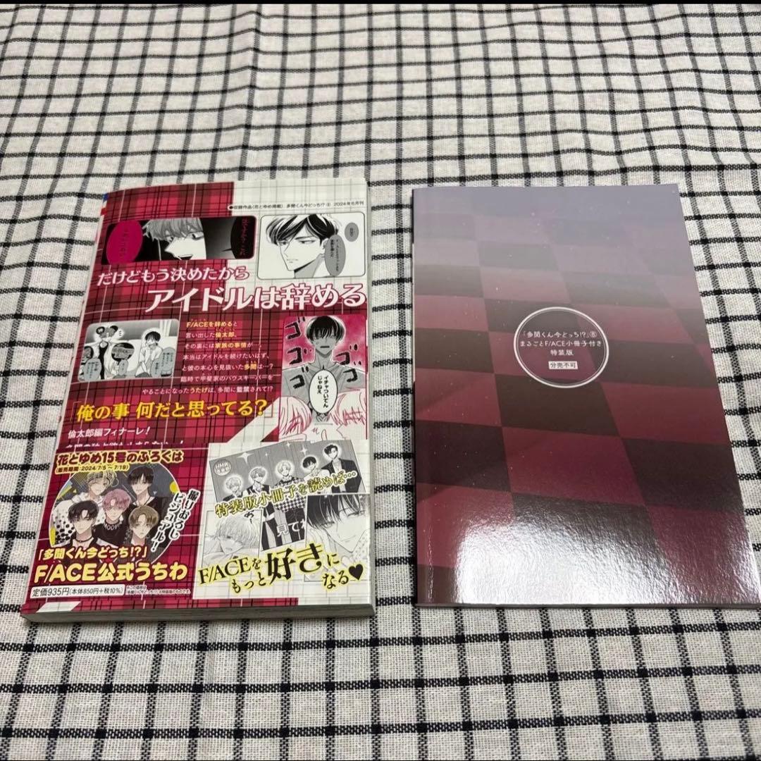 多聞くん今どっち!? 特装版　8巻 美品 特典付き