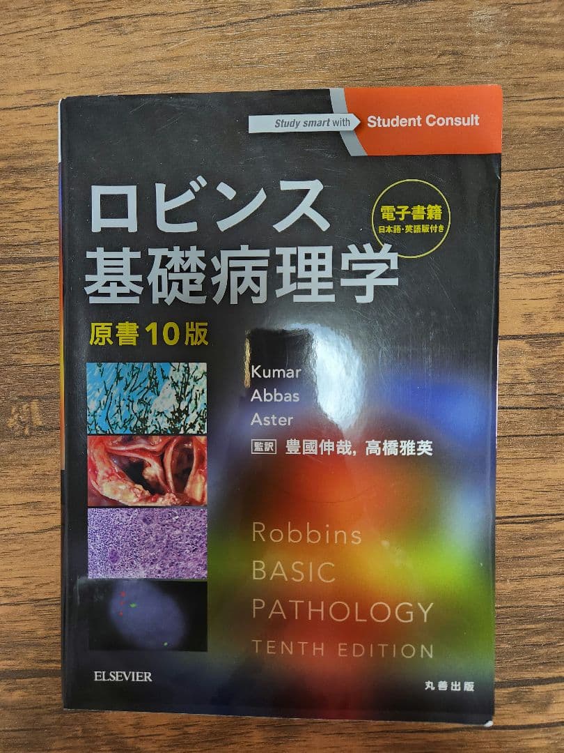 【電子書籍付】ロビンス 基礎病理学 第10版