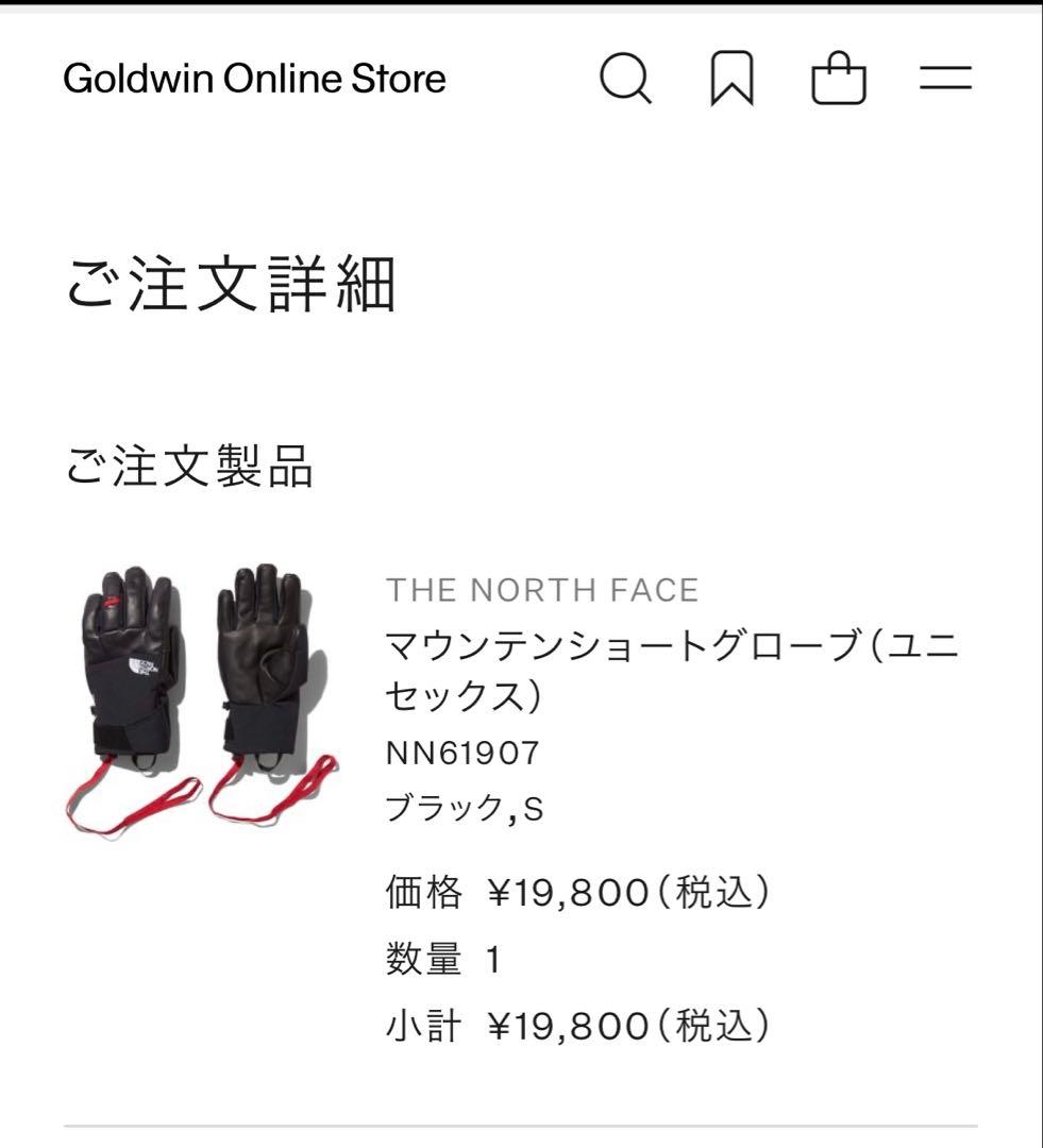 THE NORTH FACE 防水手袋 黒