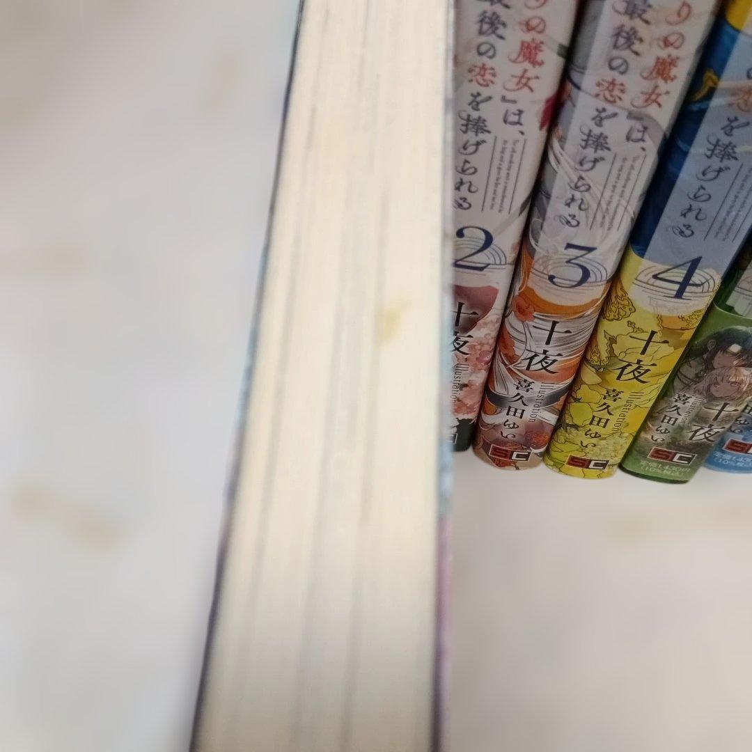 誤解された『身代わりの魔女』は、国王から最初の恋と最後の恋を捧げられる
