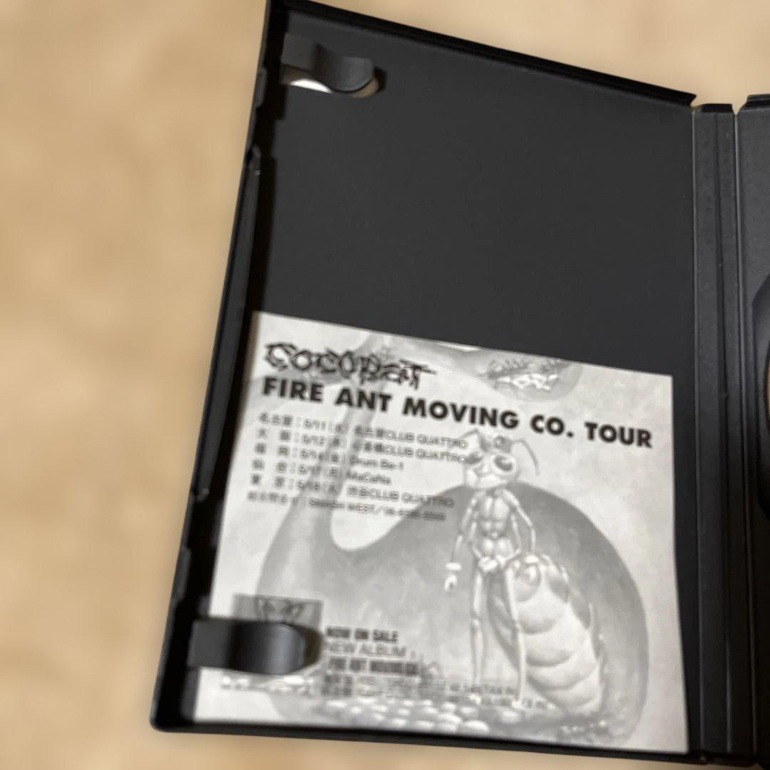 ココバット A TOURIST GUIDE TO COCOBAT+MICHAEL